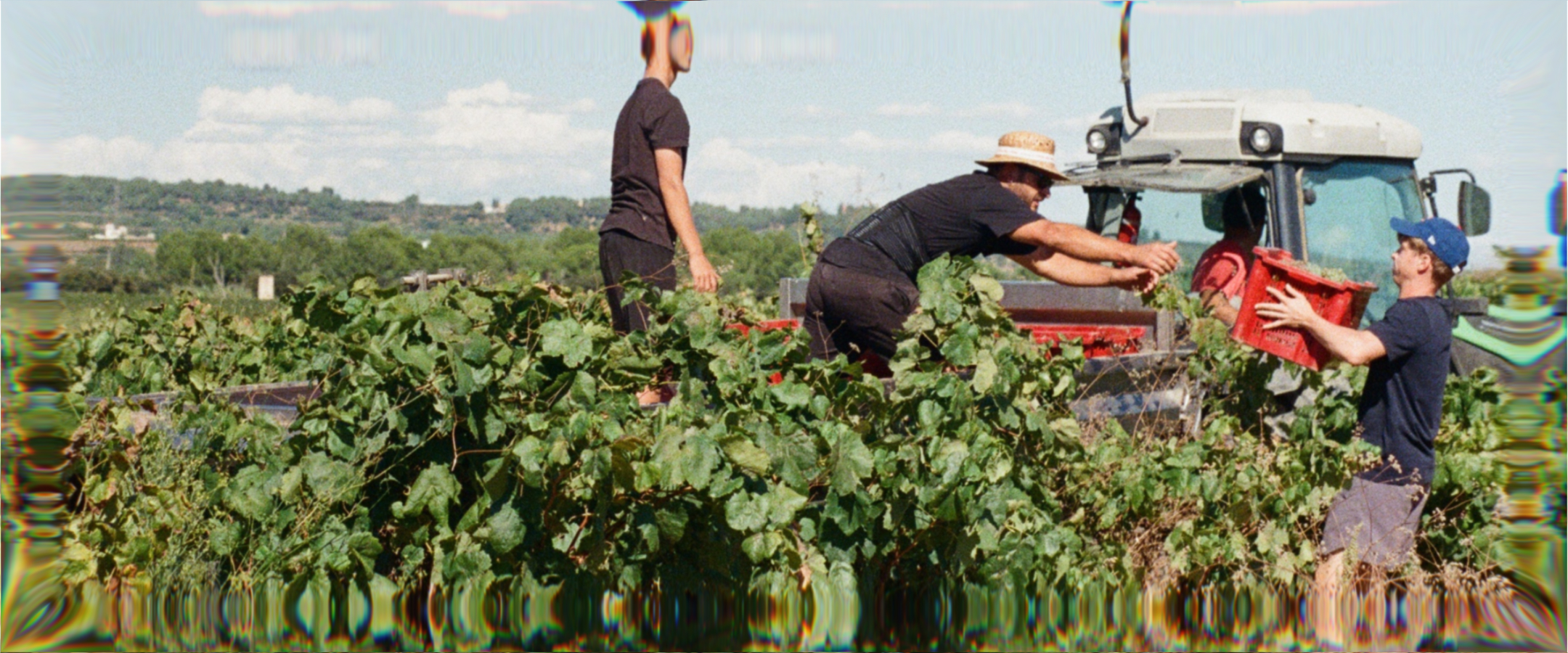 Taula Vermut Clarete